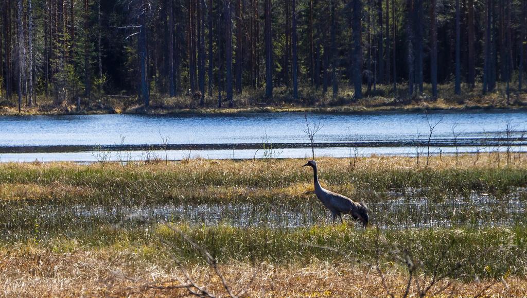 Rajan Loma Cottages Joensuu Esterno foto