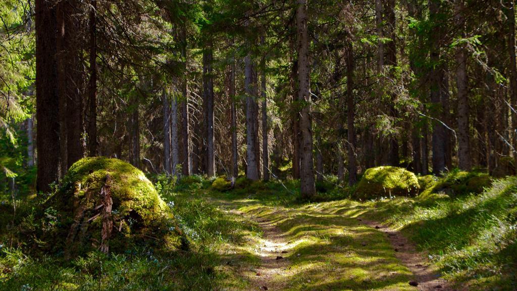 Rajan Loma Cottages Joensuu Esterno foto