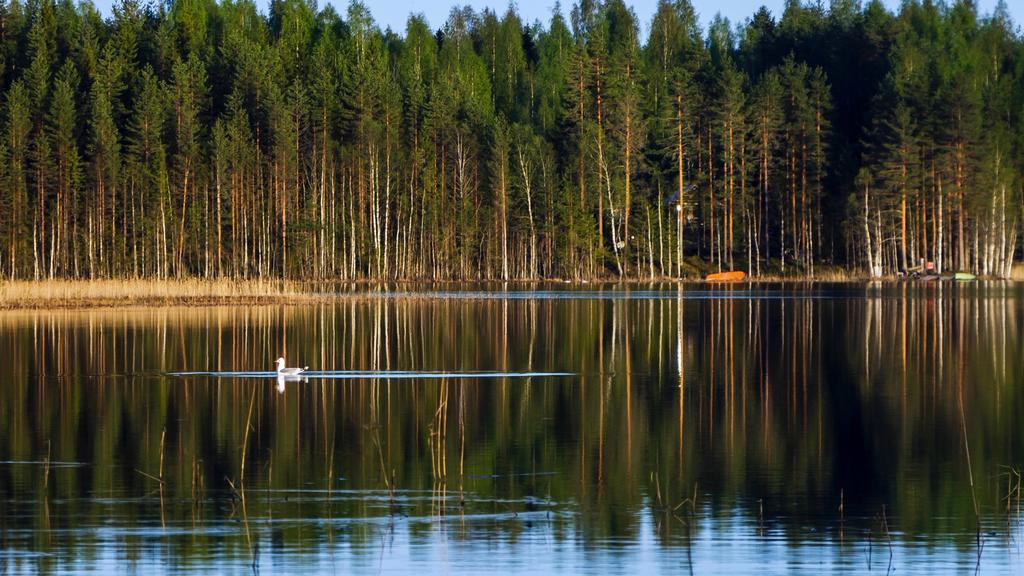 Rajan Loma Cottages Joensuu Esterno foto