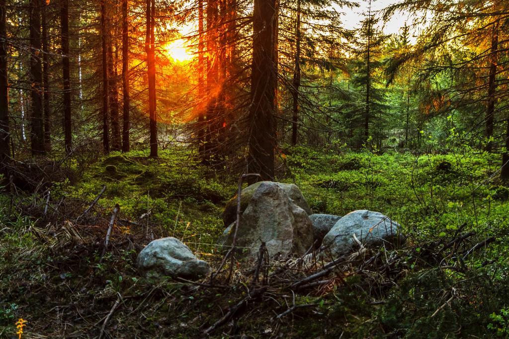 Rajan Loma Cottages Joensuu Esterno foto