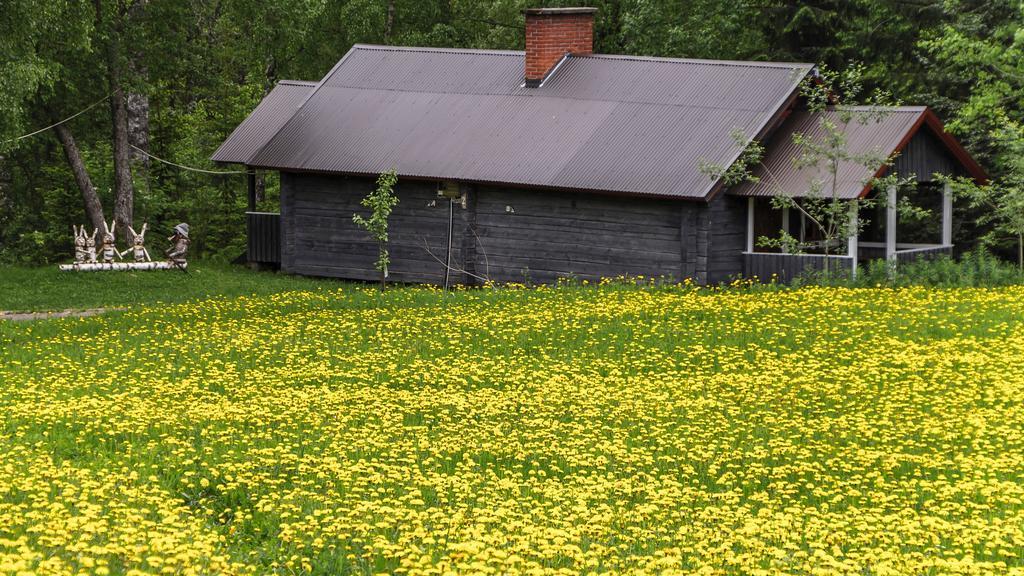 Rajan Loma Cottages Joensuu Esterno foto